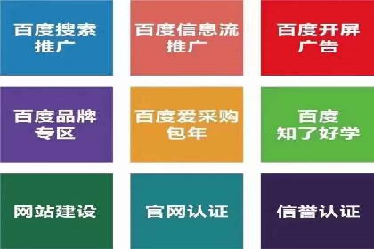 某电商平台的SEM推广策略分析
